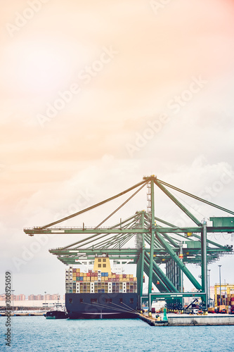 Ship-to-shore cranes unloading containers from a vessel in harbor enviroment. Transportation industry and shipment logistics. Export and import bussines