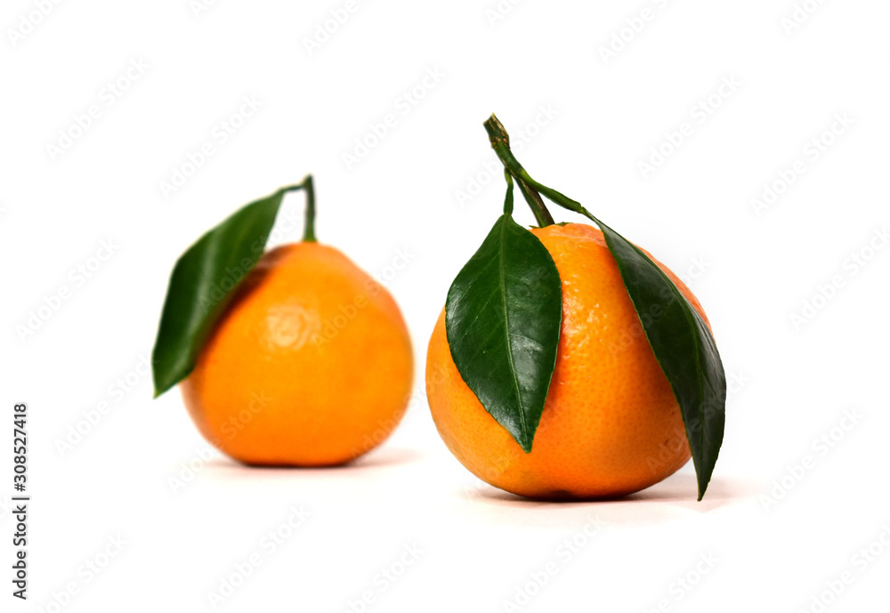 Two bright tangerines with leaves on a white background. Colour photo Two bright tangerines with leaves on a white background. Colour photo