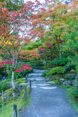 Garden Walkway With Fall Colors 3 photo