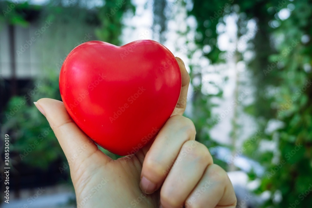 Red heart in the hand. Valentine day or love concept. Red heart in the hand. Valentine day or love concept.