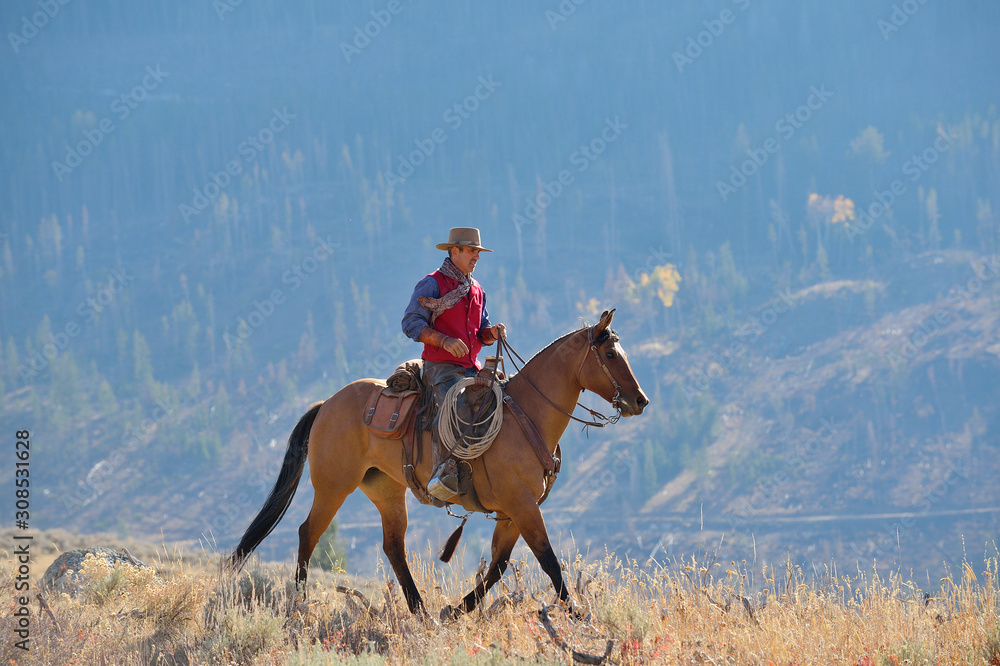 USA, Wyoming, Big Horn Mountains, riding cowboy in autumn USA, Wyoming, Big Horn Mountains, riding cowboy in autumn