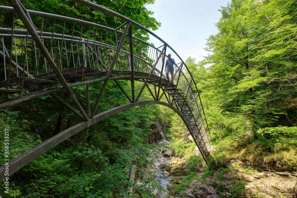 Austria, Lower Austria, Mostviertel, Eisenwurzen, Ybbsitz, steel bridge Austria, Lower Austria, Mostviertel, Eisenwurzen, Ybbsitz, steel bridge
