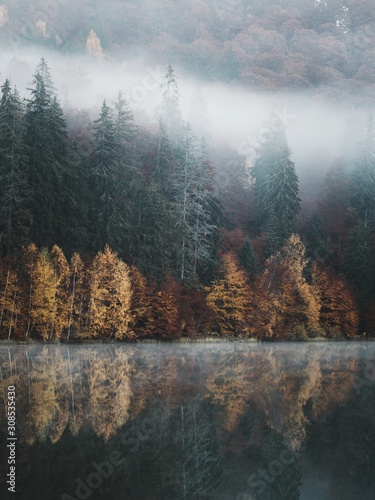 Epic Autumn landscape. Foggy forest reflected in water. Fall scenery. © szaboerwin