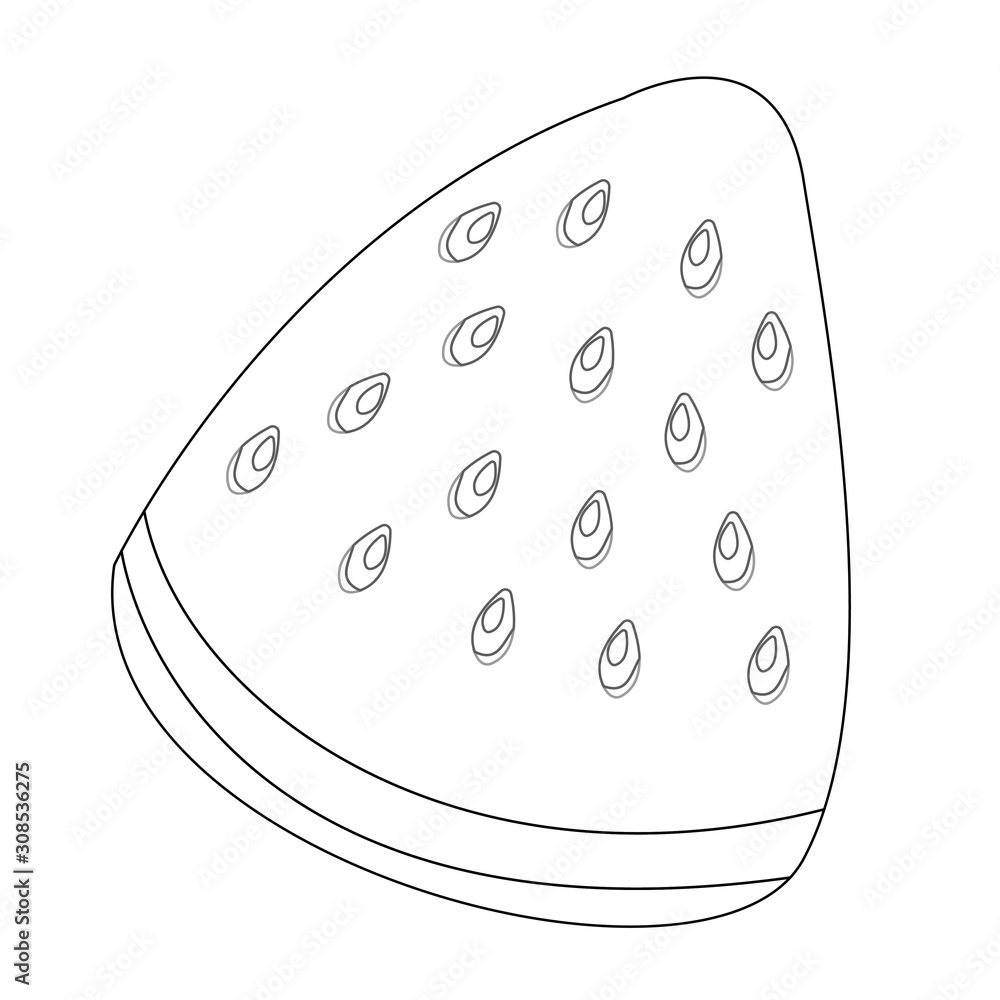 Fruit. Coloring page. One cartoon piece of watermelon with watermelon