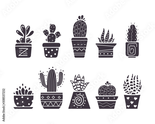 Cactus hand draw icons in cartoon style on white background. Home plants cacti and succulent set.
