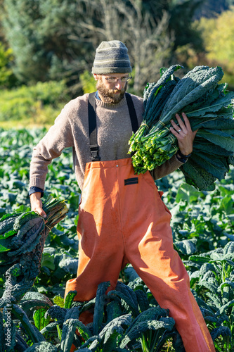 Proud farmer with a huge bunch of organic kale fall day harvest photo