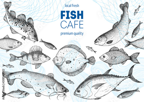 Fish sketch collection. Hand drawn vector illustration. Seafood frame vector illustration. Food menu illustration. Hand drawn flounder, perch, catfish, bream, cod, tuna, salmon. Sea and river fish.