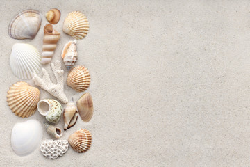 Crédence de cuisine Plage et Mer Coquillages et coraux sur le sable  © Owl_photographer
