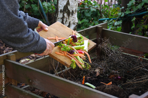 Kitchen waste recycling in composter photo