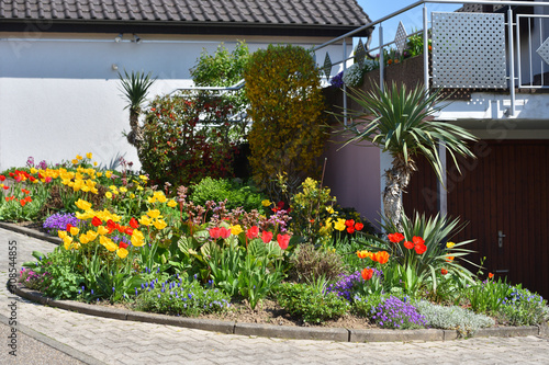 Beautiful flower bed with tulips, bushes and yucca. Flowerbed in front of a house in a European city