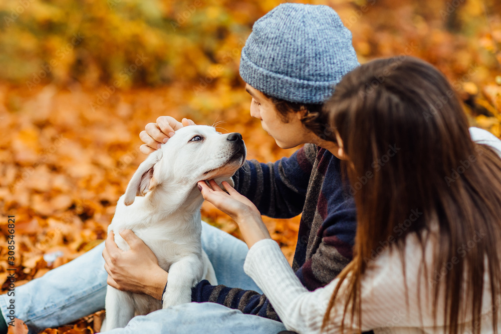 Romantic couple with dog sitting in autumn forest background with small dog. Young blonde woman and handsome man. Concept - family, togetherness, love, friendship. Romantic couple with dog sitting in autumn forest background with small dog. Young blonde woman and handsome man. Concept - family, togetherness, love, friendship.