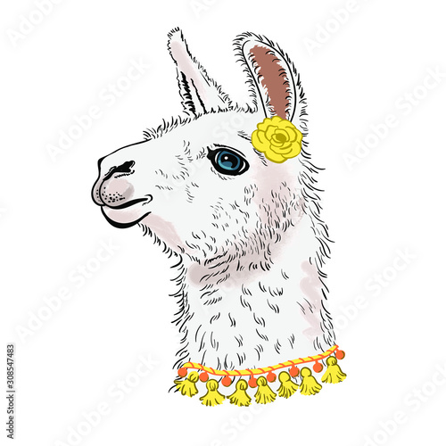 Llama, Alpaka. Drawn llama head portrait sticker, patch badg Template. Portrait of an animal with flower. Close-up. Clip art. Hand Painting. Ink. Line art, black and white.
