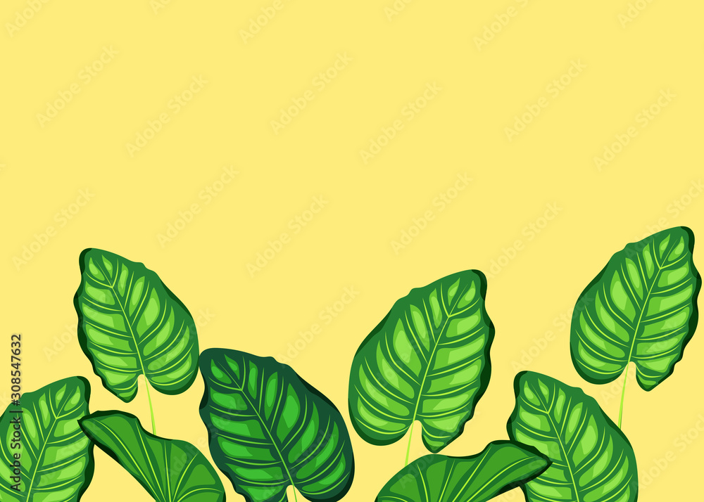 Obraz premium Flat lay leaves and branches of palm trees.