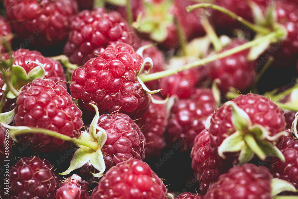 group of juicy raspberries close up group of juicy raspberries close up