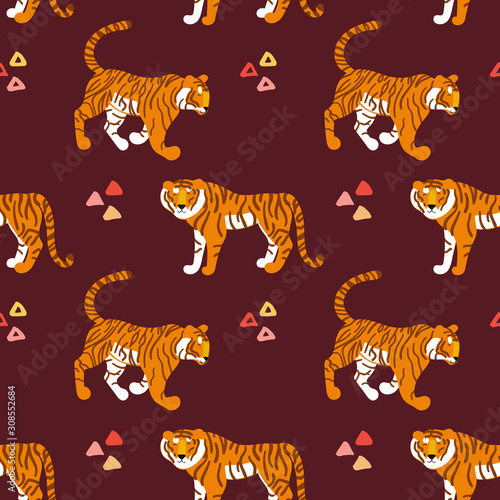 Photography Tigers