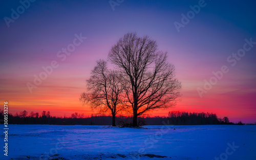 red sunet at winter
