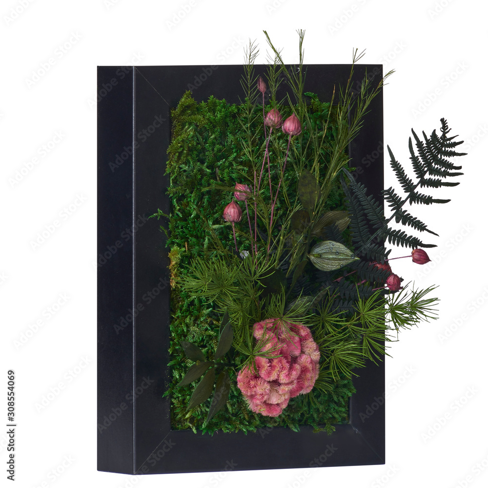 Obraz premium organic moss flower frame for decoration