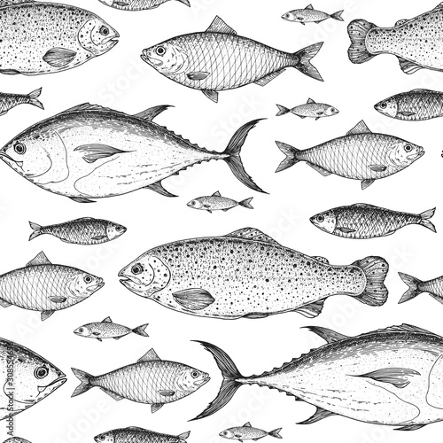 Fish seamless pattern. Hand drawn vector illustration. Seafood vector illustration. Food menu illustration. Hand drawn. Engraved style. Rainbow trout, tuna. herring sketch
