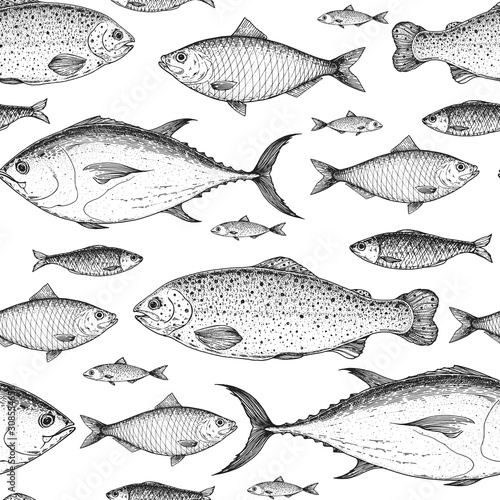 Fish seamless pattern. Hand drawn vector illustration. Seafood vector illustration. Food menu illustration. Hand drawn. Engraved style. Rainbow trout, tuna. herring sketch