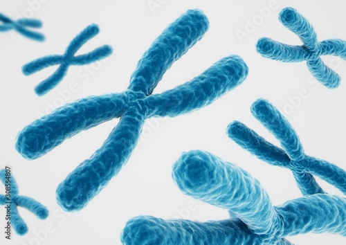 3D rendering X chromosomes on white background