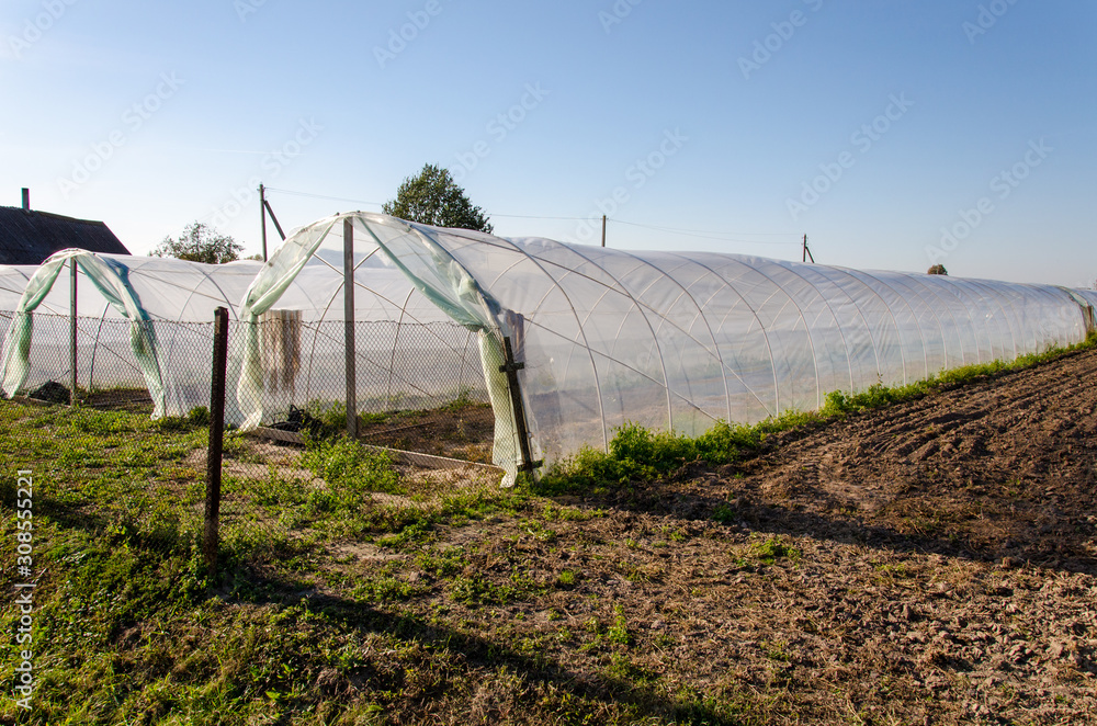 modern greenhouse. growing natural vegetables modern greenhouse. growing natural vegetables
