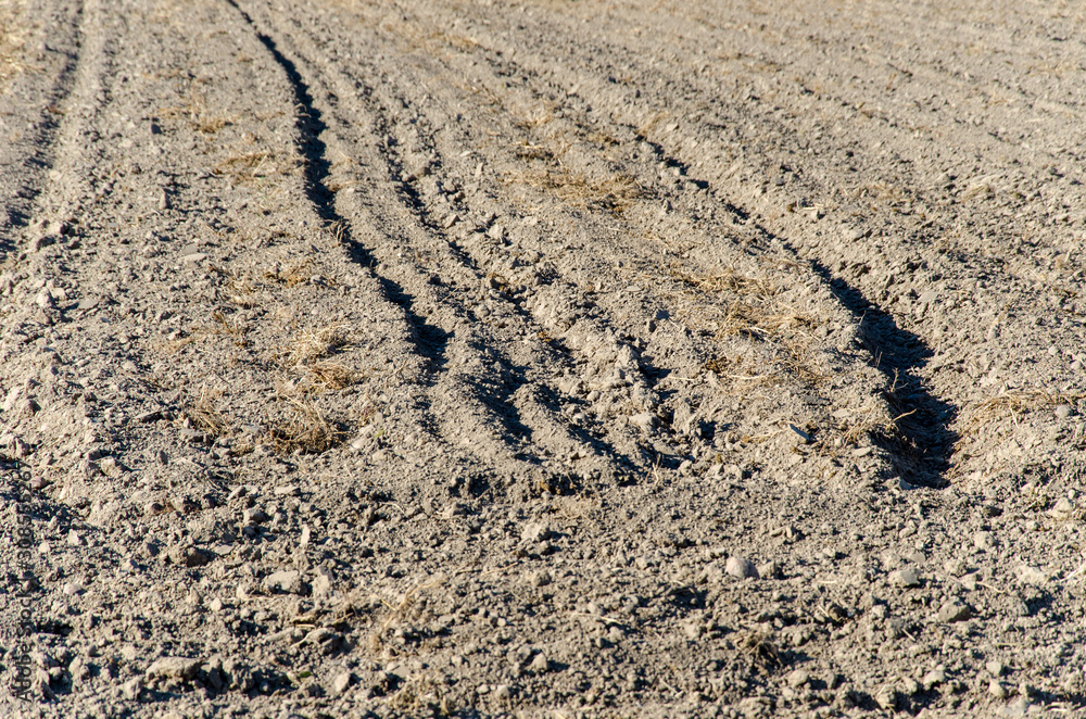 Field plowed, sown cereals. Plowed field in spring day. Black soil plowed field. Plowed field. Earth texture. Rustic background. Field plowed, sown cereals. Plowed field in spring day. Black soil plowed field. Plowed field. Earth texture. Rustic background.