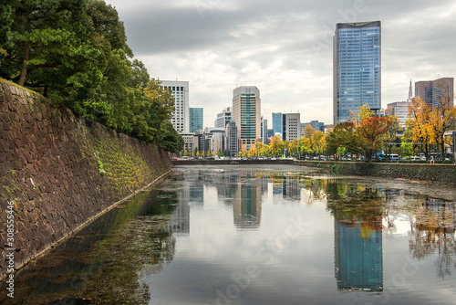 cityscape of Tokyo, view of the central business district of Tokyo from a city public park