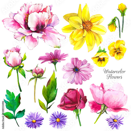 Botanical illustration with tropical plants. Watercolor set of green leaves and flowers: dahlia, peony, pansies, rose. Handmade painting realistic watercolor cliparts.