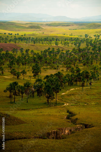 The Grand Savana is a border region of Brazil with Venezuela.