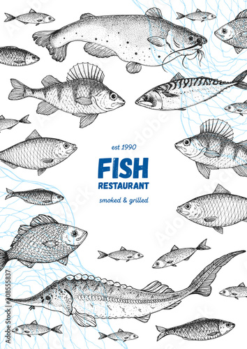 Fish sketch collection. Hand drawn vector illustration. Seafood frame vector illustration. Food menu illustration. Hand drawn perch, mackerel, sturgeon, catfish. Engraved style. Sea and river fish