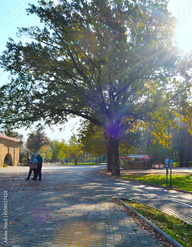 couple walking in the park