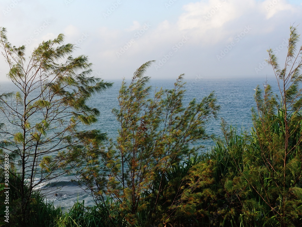 Obraz premium Tropical island nation with bluish and fertile seascapes overgrown with many types of plants