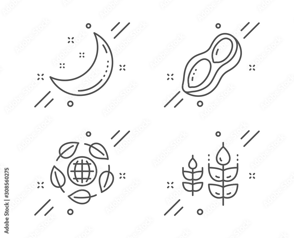 Eco organic, Peanut and Moon stars line icons set. Gluten free sign. Bio ingredients, Vegetarian nut, Night. Nature set. Line eco organic outline icon. Vector Eco organic, Peanut and Moon stars line icons set. Gluten free sign. Bio ingredients, Vegetarian nut, Night. Nature set. Line eco organic outline icon. Vector