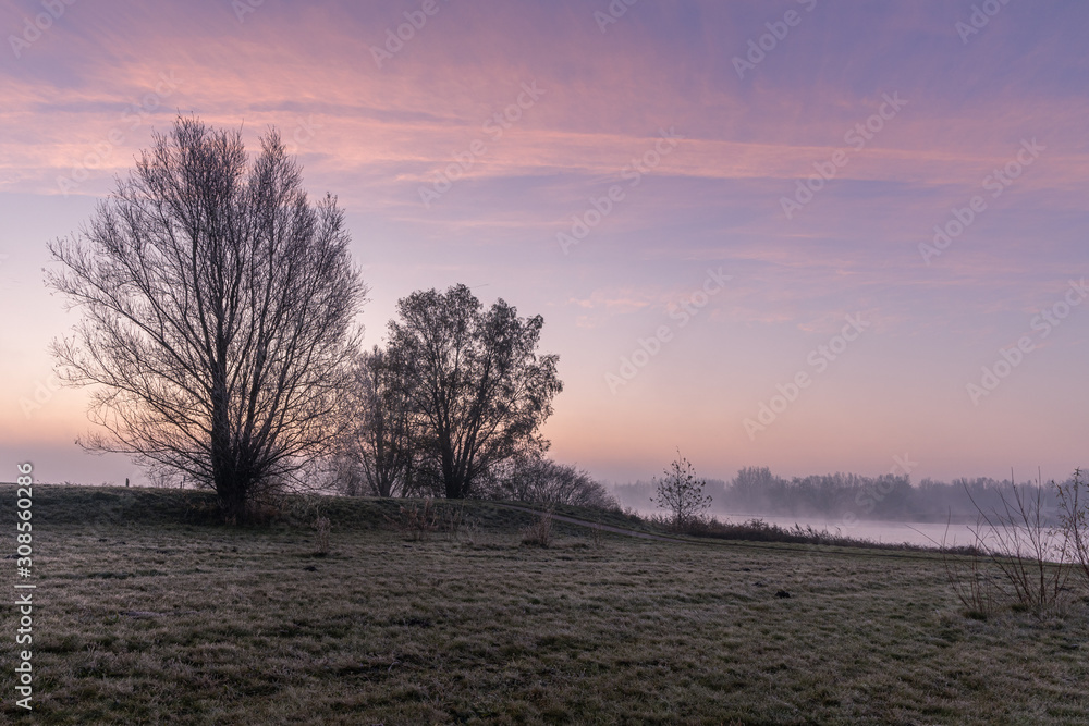 Fototapeta premium Winter sunrise with ttwo trees and frost on the fields. Fog above the water of the nearby river