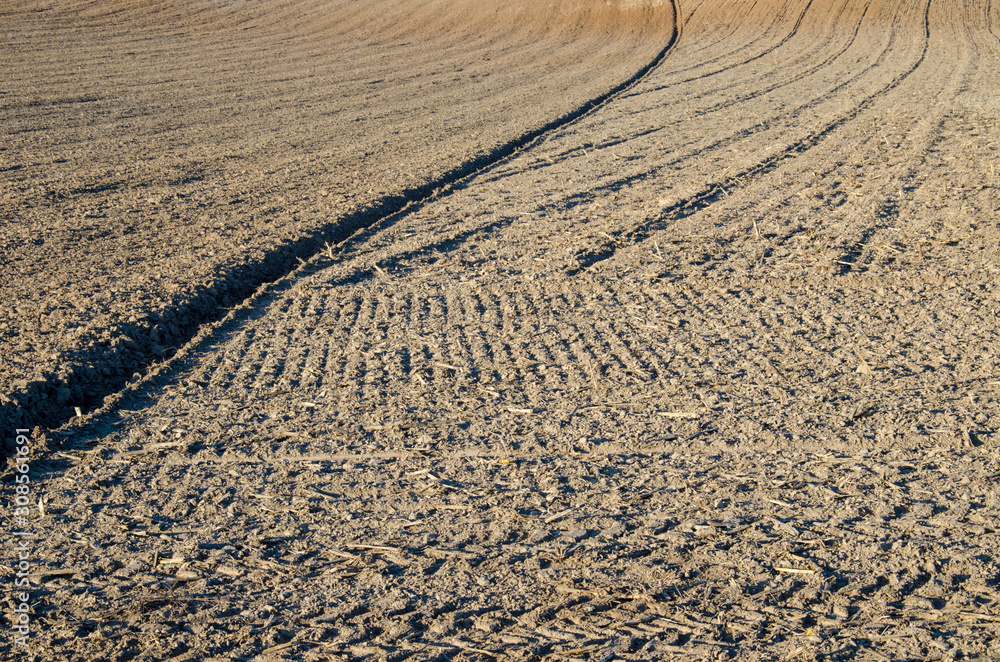 Field plowed, sown cereals. Plowed field in spring day. Black soil plowed field. Plowed field. Earth texture. Rustic background. Field plowed, sown cereals. Plowed field in spring day. Black soil plowed field. Plowed field. Earth texture. Rustic background.