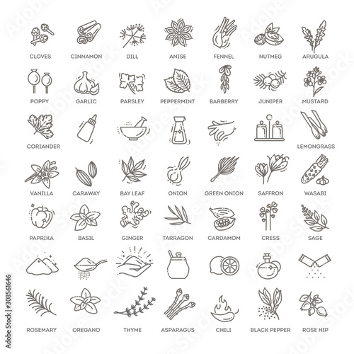 Condiment icons set. Outline set of condiment vector icons