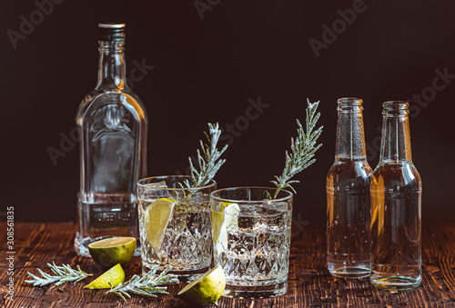 Ideas of winter drinks from gin and tonic for the new year. A bottle of gin and water tonic on a wooden table