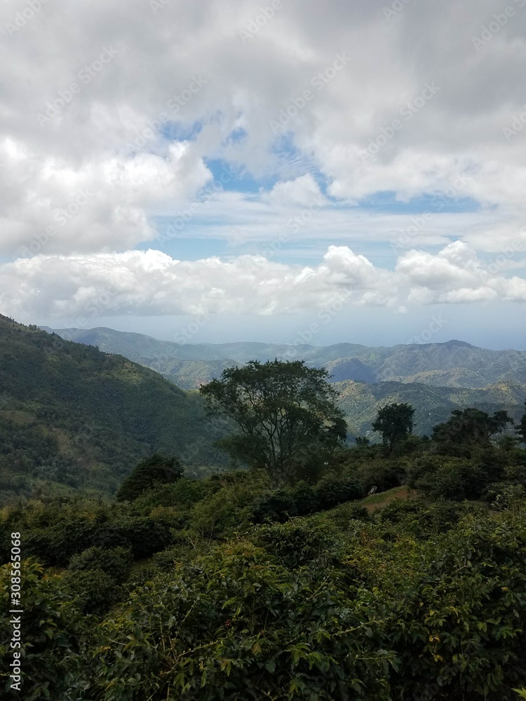 Mountain view from the blue Mountain Peak Mountain view from the blue Mountain Peak