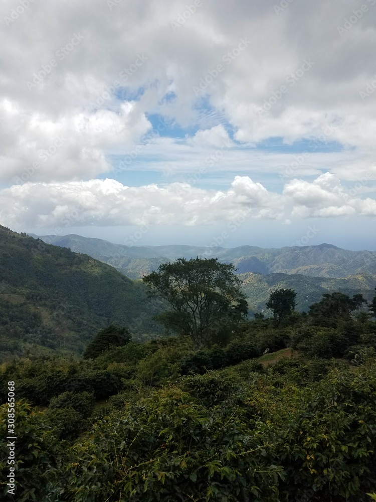 Mountain view from the blue Mountain Peak