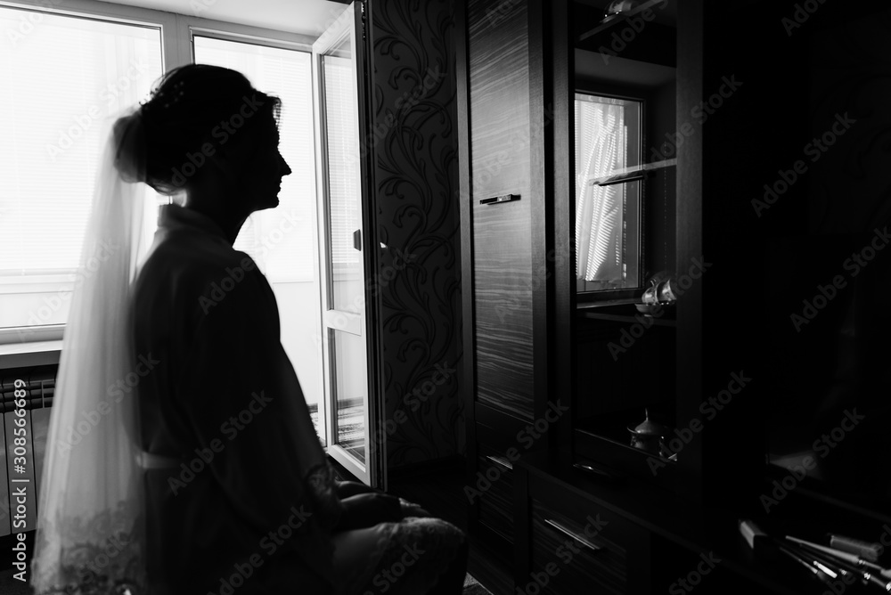 Portrait of young gorgeous bride. Wedding make up. Beautiful girl dresses and gathers for a wedding ceremony in apartments while waiting for the groom. Bride's morning