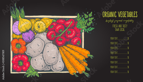 Harvest of vegetables in the box. Hand drawn vector illustration. Engraved style. Top view © DiViArts