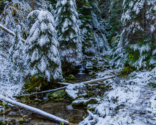 Winter at Pulaski Tunnel Trail photo