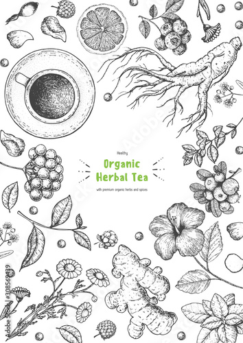 Herbal Tea shop frame vector illustration. Vector design with herbal ingredients. Hand drawn sketch collection. Engraved style.