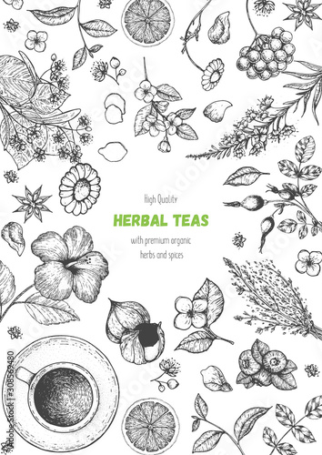 Herbal Tea shop frame vector illustration. Vector design with herbal ingredients. Hand drawn sketch collection. Engraved style.