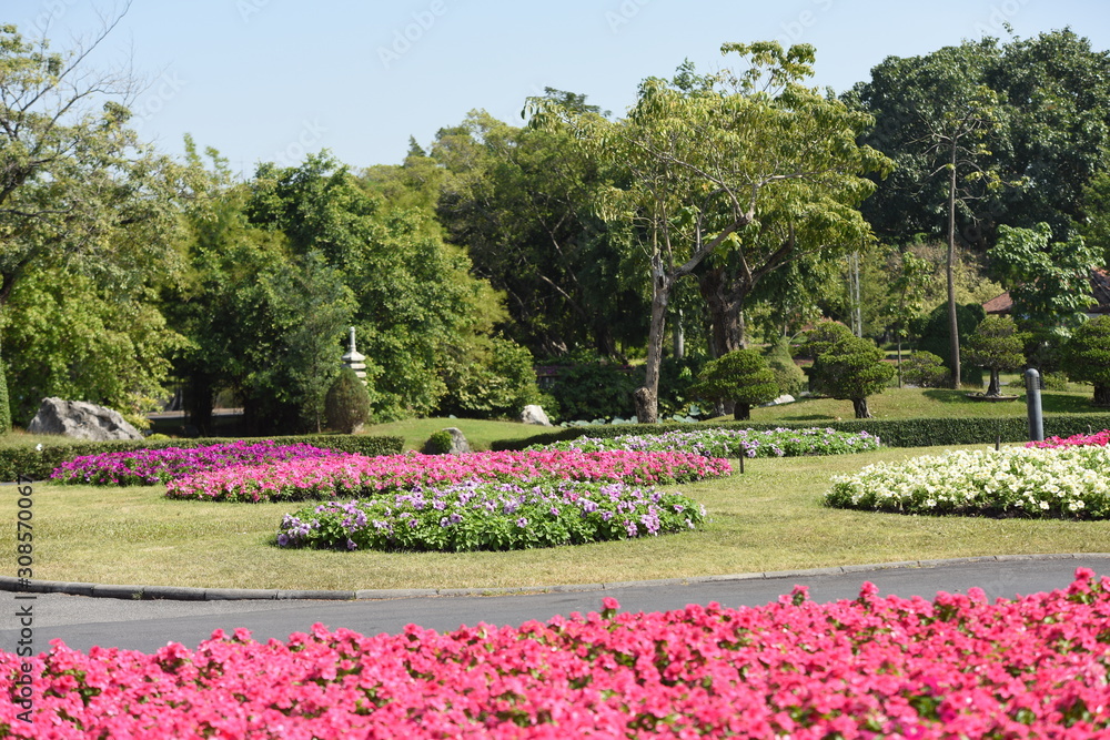Obraz premium Gardens with flowers and ornamental plants.