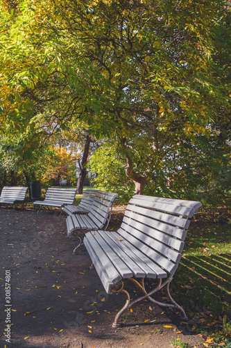 Autumn Rest, Vojanovy sady, Prague, Czech Republic photo