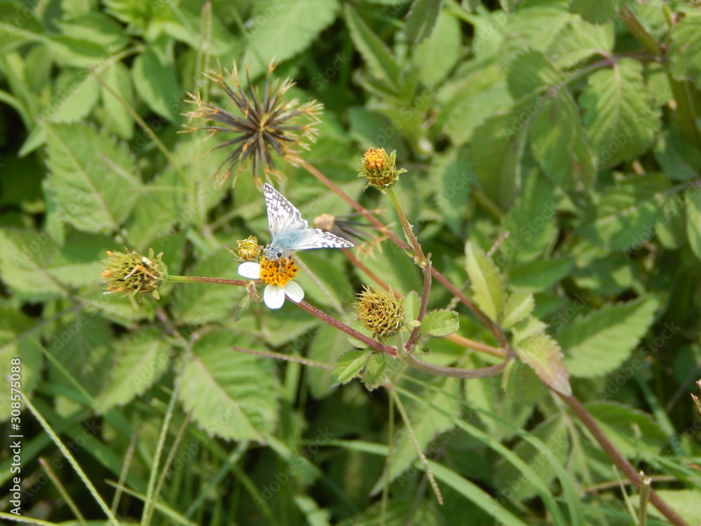 natulareza natulareza