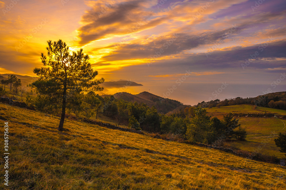Yellow sunset on the mountain of Jaizkibel. Basque Country