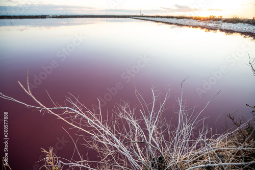 Nature reserve Saline Margherita di Savoia, Apulia, Italy: The salt pan. Salt flats area for sea salt production. Coastal ecosystem on Adriatic sea. Red waters colored by alga Dunaliella salina