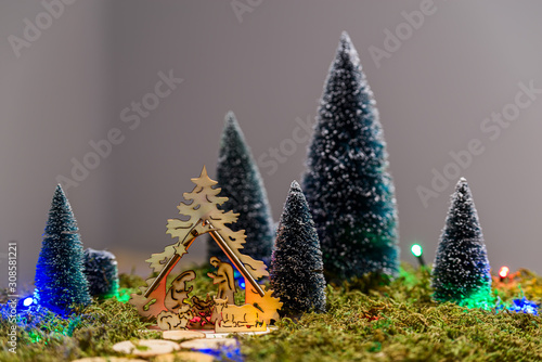 Nativity scene and trees in the presepio